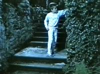 Кадр Близнецы в зоопарке