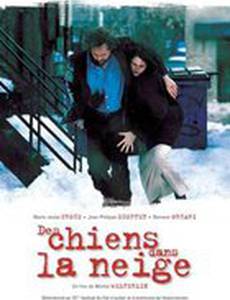 Des chiens dans la neige