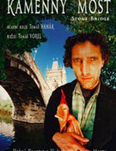 Каменный мост