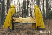 Кадр Таинственный лес