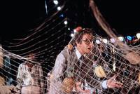 Кадр Во всем виноват Рио