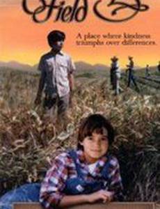 Поле дружбы