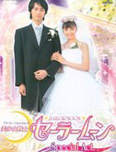 Красавица-воин Сейлор Мун: Спецвыпуск (видео)