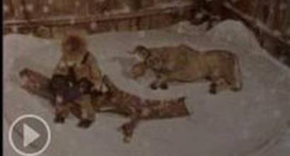 Мультфильм