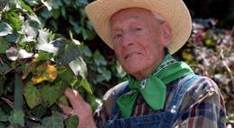 Кадр из фильма "Узурпаторша" - 2