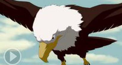 Фрагмент №4