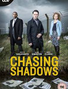 В погоне за тенями