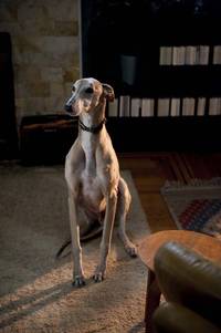 Кадр Жизнь прекрасна