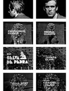 Каменные джунгли