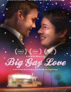 Большая гей-любовь