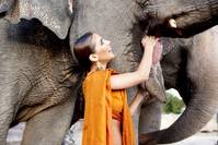 Кадр Хочу в Голливуд