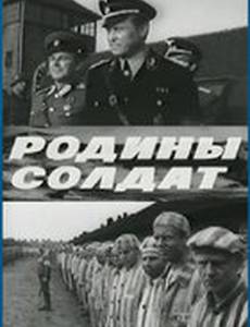 Родины солдат