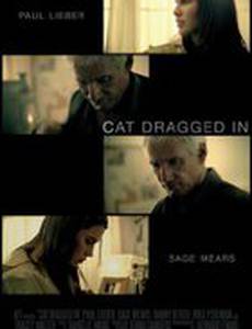 Cat Dragged In