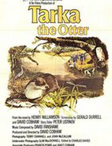 Выдра по имени Тарка