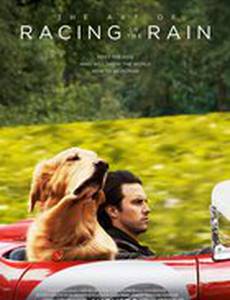 Глазами собаки