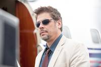 Кадр Убийца (Сикарио)