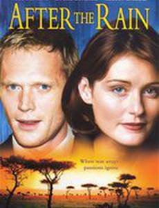 После дождя