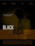 Постер из фильма "Черный ирландец" - 1