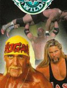WCW Дикая дорога
