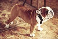 Кадр Король вечеринок