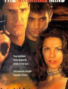 Преступный склад ума