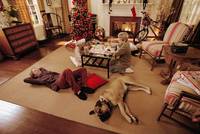 Кадр Дикки Робертс: Звездный ребенок