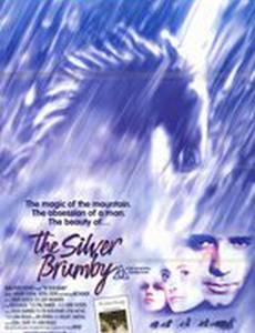 Серебряный ветер