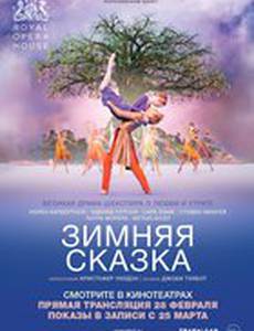 Зимняя сказка