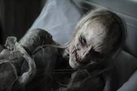 Кадр Логово зверя