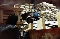 Кадр Заводные