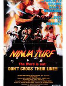 Территория ниндзя