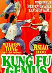 Гений кунг-фу