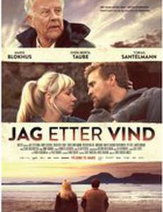 Погоня за ветром