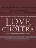 Постер из фильма "Любовь во время холеры" - 1