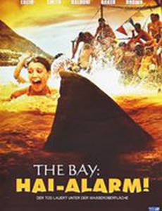 Нападение акул в весенние каникулы