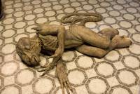 Кадр Услуги преисподней стоят дорого