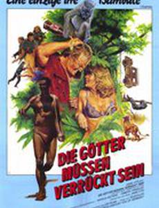 Боги, наверное, сошли с ума