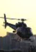 Аль Серулло фото