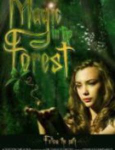 Magic in the Forest