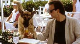 Кадр из фильма "К-9: Собачья работа" - 1