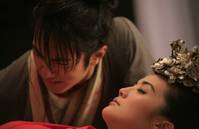 Кадр Бабочки-любовники