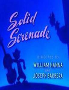 Шумная серенада