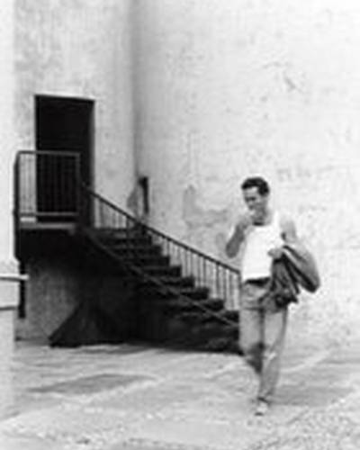 Brian Hedenberg фото