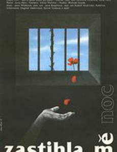 Меня настигла ночь