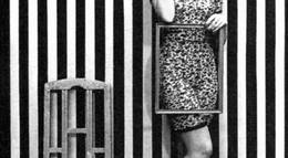 Кадр из фильма "В.Р. Мистерия организма" - 2