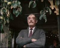 Кадр Картина (мини-сериал)