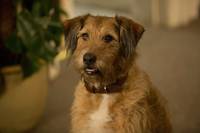 Кадр Всё могу (Всё как ты захочешь)