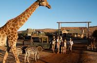 Кадр Мои африканские приключения