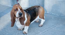 Кадр из фильма "Где-то сегодня ночью" - 2