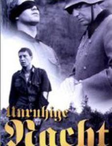 Беспокойная ночь